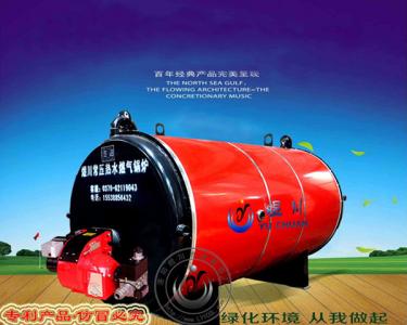 常壓節能環(huán)保燃氣（油）爐